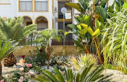 Resale - Apartment / flat - Torrevieia - La Mata