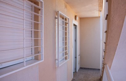 Herverkoop - Appartement / flat - Torrevieia - Torrevieja