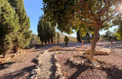 Herverkoop - Country House - Crevillente