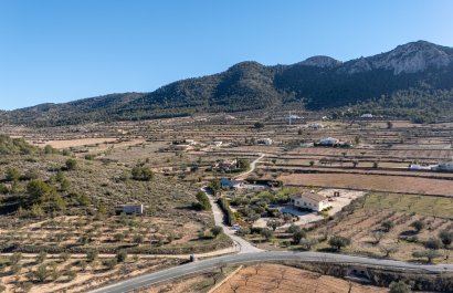 Resale - Country House - La Zarza