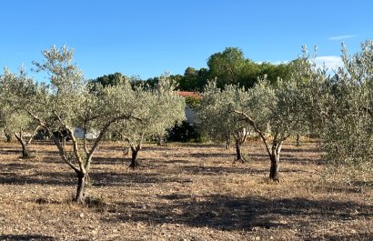 Herverkoop - Country House - Sax