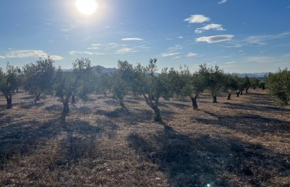 Herverkoop - Country House - Sax