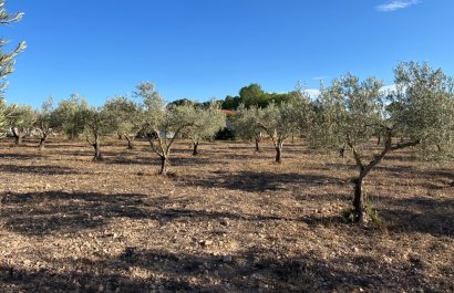 Herverkoop - Country House - Sax