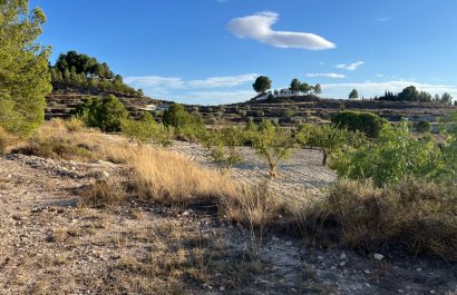 Herverkoop - Country House - Sax