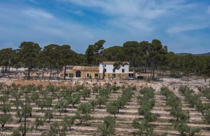 Herverkoop - Others - Castalla