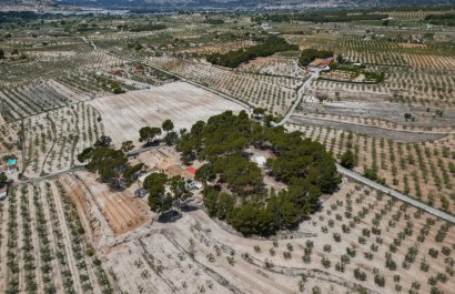 Herverkoop - Others - Castalla