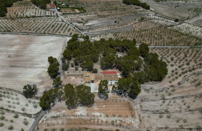 Herverkoop - Others - Castalla