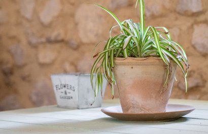 Herverkoop - Others - Castalla