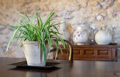 Herverkoop - Others - Castalla