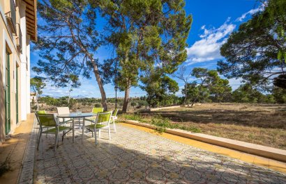 Resale - Villa - Alicante - Center