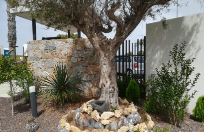 New Build - Bungalow - Torrevieia - Torrevieja