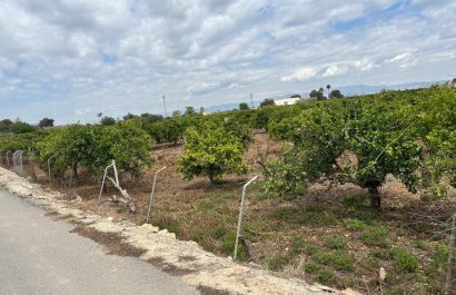 Resale - Country House - Rojales - Ciudad Quesada