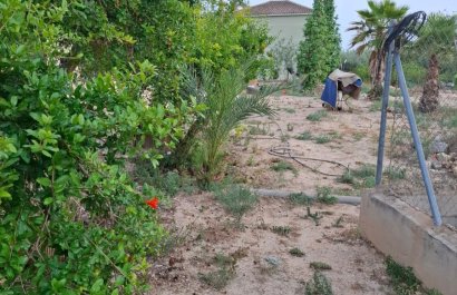 Resale - Townhouse / Duplex / Corner - Elche - Matola