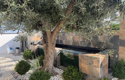 Resale - Villa - Formentera del Segura - Formentera De Segura