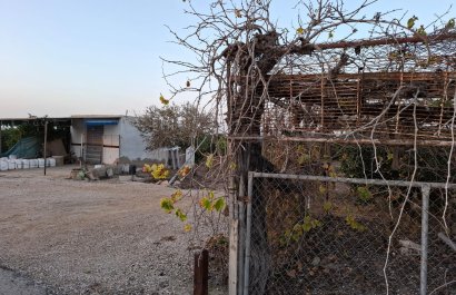 Reventa - Parcela / Terreno - Guardamar del Segura