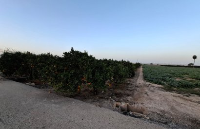 Reventa - Parcela / Terreno - Guardamar del Segura