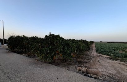 Reventa - Parcela / Terreno - Guardamar del Segura