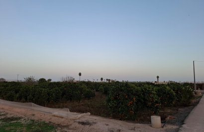 Reventa - Parcela / Terreno - Guardamar del Segura