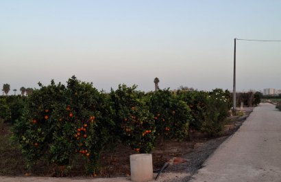 Reventa - Parcela / Terreno - Guardamar del Segura