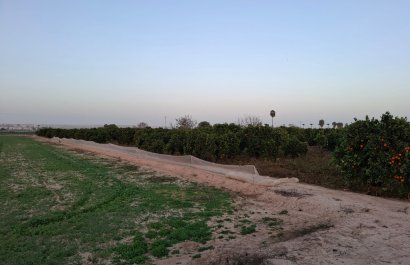 Reventa - Parcela / Terreno - Guardamar del Segura