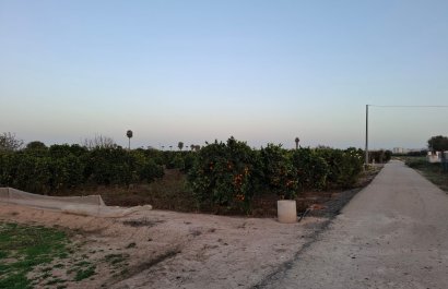 Reventa - Parcela / Terreno - Guardamar del Segura