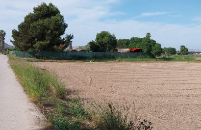 Herverkoop - Perceel / Grond - Guardamar del Segura