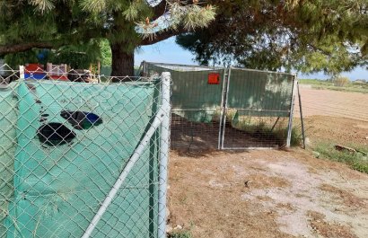 Herverkoop - Perceel / Grond - Guardamar del Segura