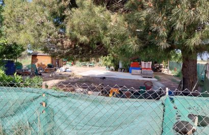 Herverkoop - Perceel / Grond - Guardamar del Segura