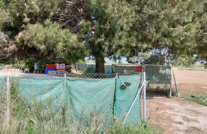 Herverkoop - Perceel / Grond - Guardamar del Segura