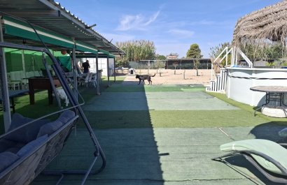 Resale - Plot / Land - Guardamar del Segura