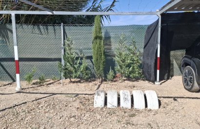 Resale - Plot / Land - Guardamar del Segura