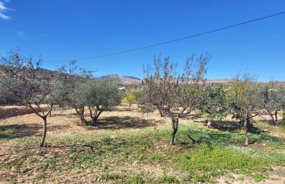 Resale - Villa - La Romana