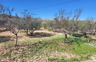 Resale - Villa - La Romana