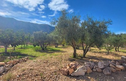 Resale - Villa - La Romana