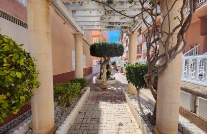Resale - Apartment / flat - Torrevieia - La Mata