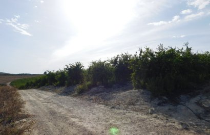 Reventa - Parcela / Terreno - Torremendo