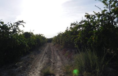 Reventa - Parcela / Terreno - Torremendo