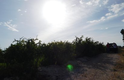 Reventa - Parcela / Terreno - Torremendo