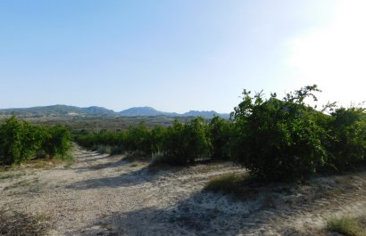 Reventa - Parcela / Terreno - Torremendo