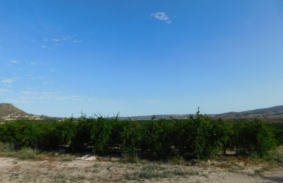 Reventa - Parcela / Terreno - Torremendo