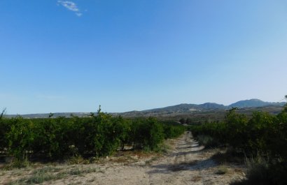 Reventa - Parcela / Terreno - Torremendo