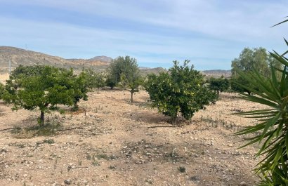 Herverkoop - Country House - Abanilla