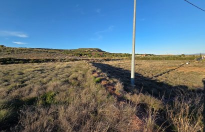 Herverkoop - Perceel / Grond - Yecla