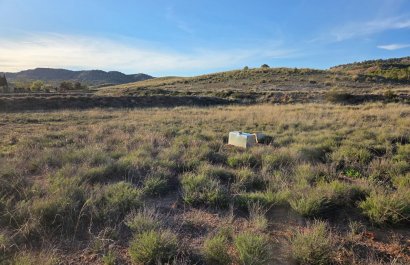 Herverkoop - Perceel / Grond - Yecla