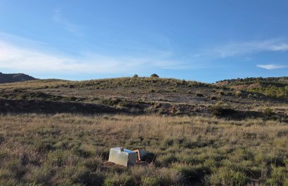 Herverkoop - Perceel / Grond - Yecla