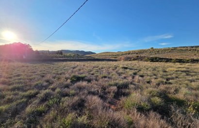 Herverkoop - Perceel / Grond - Yecla