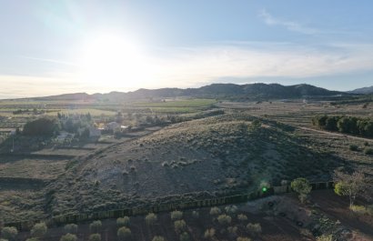 Herverkoop - Perceel / Grond - Yecla