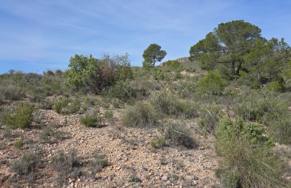 Resale - Plot / Land - Yecla