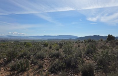 Resale - Plot / Land - Yecla