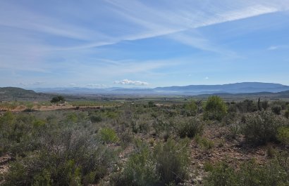 Resale - Plot / Land - Yecla